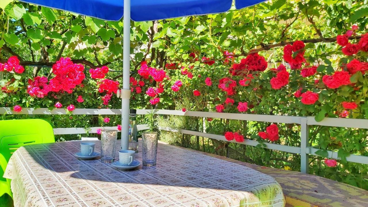 Guest House Pogradeci ภายนอก รูปภาพ